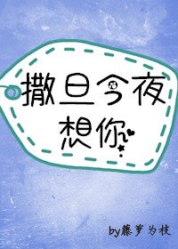 国产日韩精品电影网在线观看